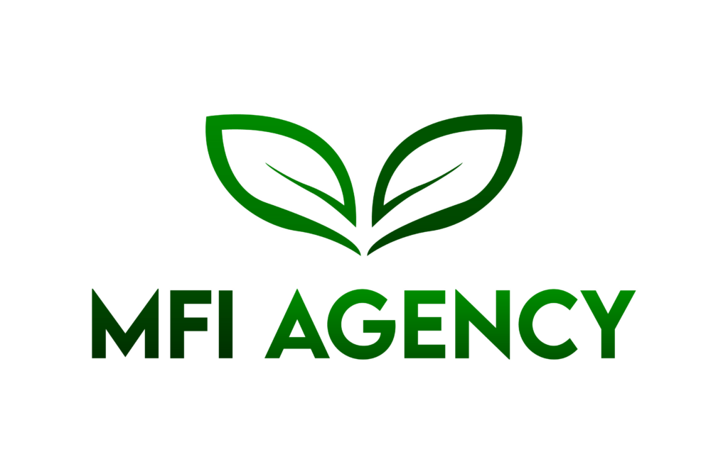 MFI Agency logo